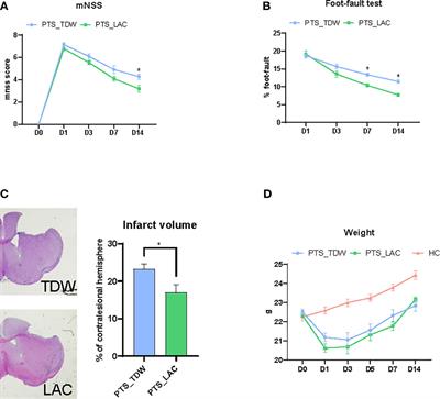 Lactulose Improves Neurological Outcomes by Repressing Harmful Bacteria and Regulating Inflammatory Reactions in Mice After Stroke